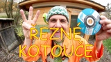 Čepice zmijovka zelená se žábou - video Vidlák řezné kotouče