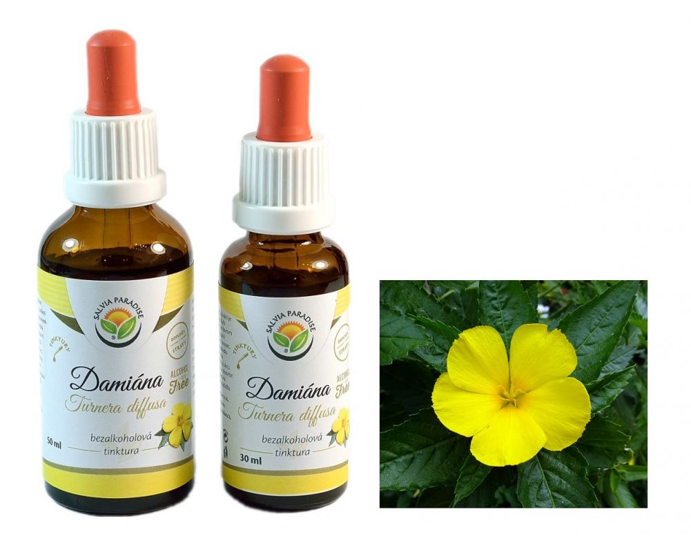Damiana afrodisiakum tinktura