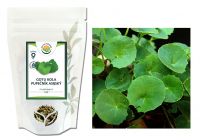 GOTU KOLA (Brahmi) - sušená nať na bylinný odvar, 50g
