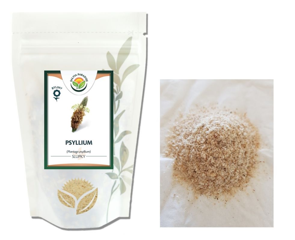 Psýlium Psyllium vláknina