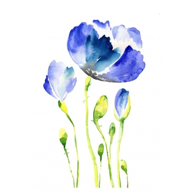 SAMOLEPKY na textil AKVAREL - Různé druhy - Modré květy Cadence
