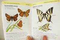 Příroda do kapsy-encyklopedie motýlů