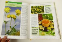 Léčivé bylinky kniha s recepty