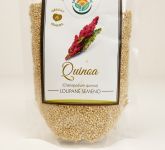 Quinoa Merlík čilský 