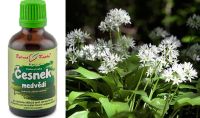 ČESNEK MEDVĚDÍ tinktura z léčivé rostliny, 50ml