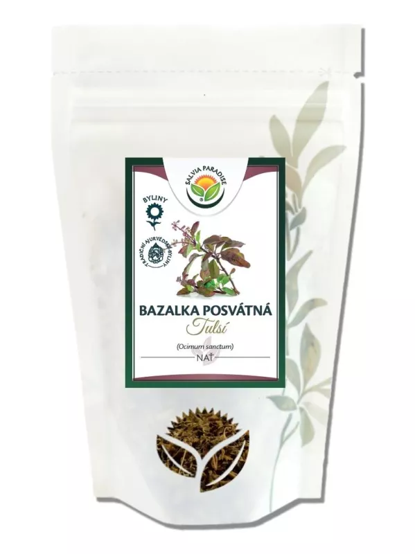 Bazalka posvátná Tulsí