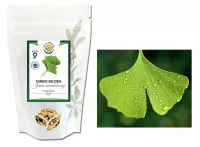 GINKGO BILOBA (Jinan dvoulaločný) - sušený list, 100g