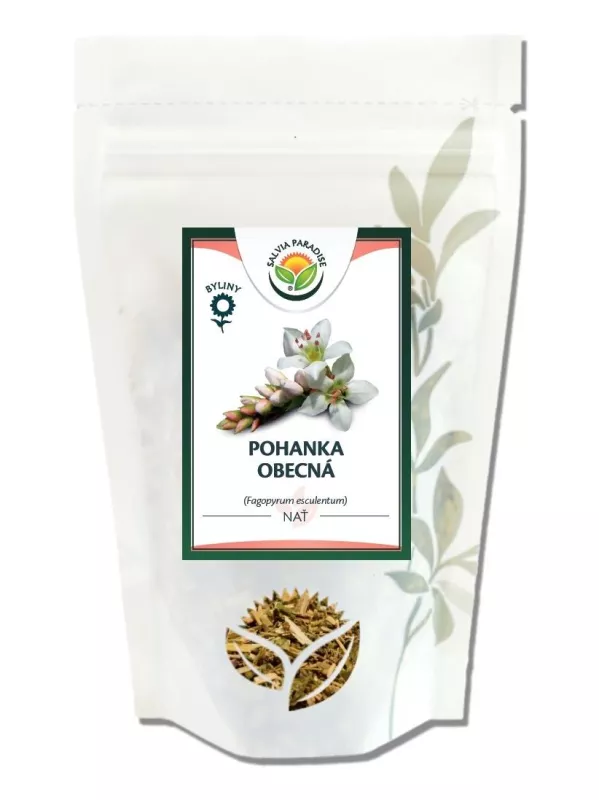 Pohanka obecná 