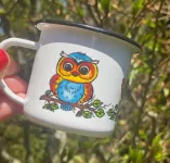 Plecháček Sovička