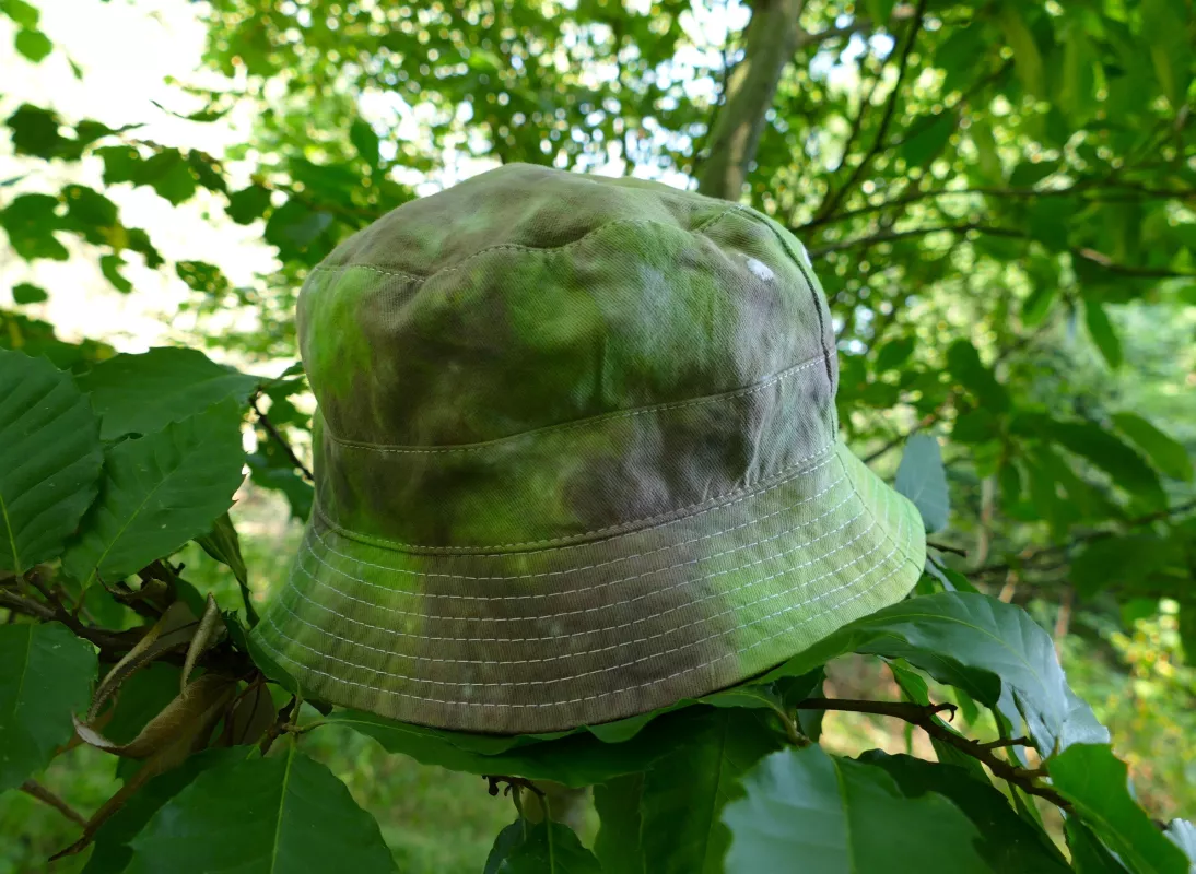Zelený lesní kobouček